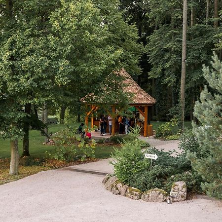 Maison D'Hotes Les Jardins De Madeleine Bernardvillé Exteriér fotografie