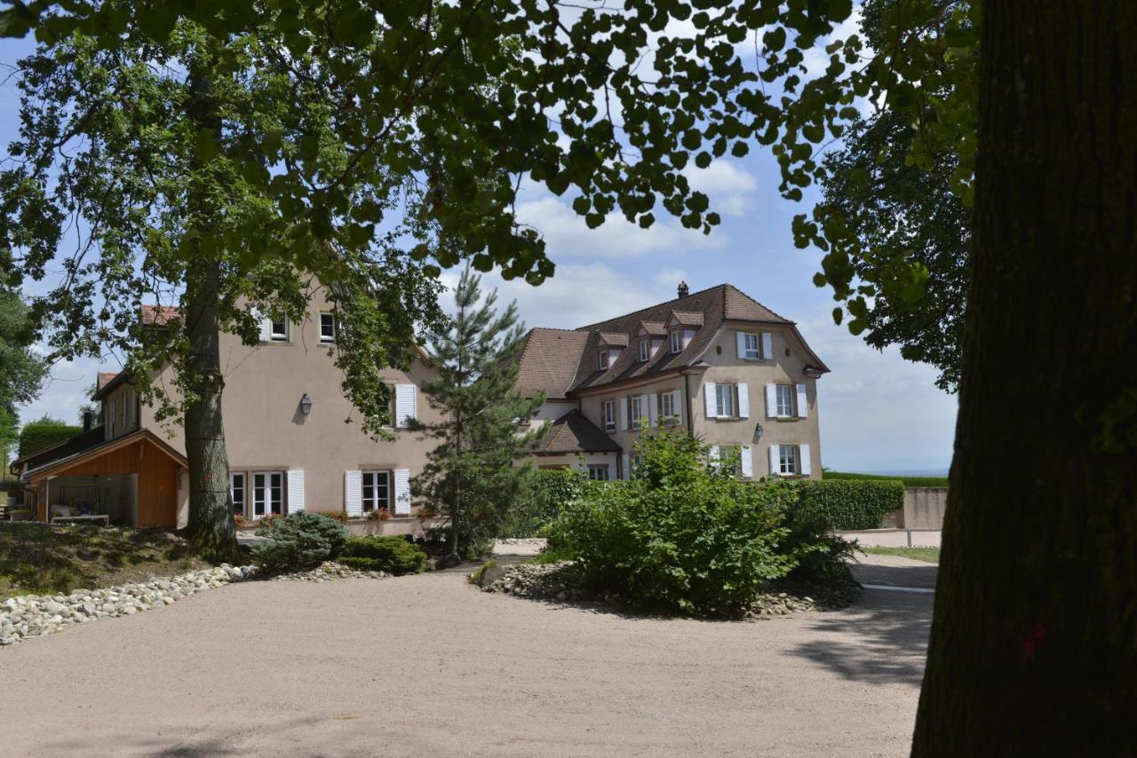 Maison D'Hotes Les Jardins De Madeleine Bernardvillé Exteriér fotografie